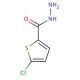 5-Chlorothiophene-2-carboxylic acid hydrazide (CAS 351983-31-8) - chemical structure image