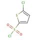 5-Chlorothiophene-2-sulfonyl chloride (CAS 2766-74-7) - chemical structure image