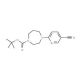 5-Cyano-2-[4-butoxycarbonyl-1-(1,4-diazepenyl)]-pyridine - chemical structure image