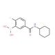 5-(Cyclohexylcarbamoyl)-2-fluorophenylboronic acid (CAS 874289-44-8) - chemical structure image