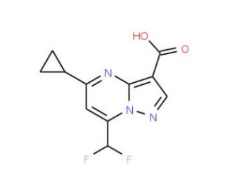 5-Cyclopropyl-7-difluoromethyl-pyrazolo[1,5-a]-pyrimidine-3-carboxylic acid (CAS 438227-80-6) - chemical structure image