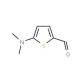 5-(dimethylamino)thiophene-2-carbaldehyde (CAS 24372-46-1) - chemical structure image