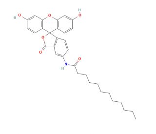 5-Dodecanoylaminofluorescein (CAS 107827-77-0) - chemical structure image