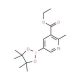 5-(Ethoxycarbonyl)-6-methylpyridine-3-boronic acid, pinacol ester (CAS 1150561-58-2) - chemical structure image
