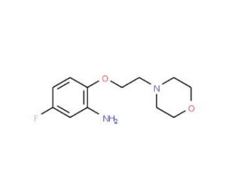 5-Fluoro-2-[2-(4-morpholinyl)ethoxy]phenylamine (CAS 937596-93-5) - chemical structure image