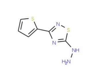 5-Hydrazino-3-thien-2-yl-1,2,4-thiadiazole (CAS 306936-74-3) - chemical structure image
