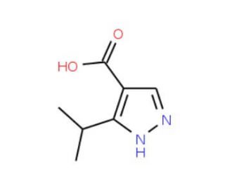 5-isopropyl-1H-pyrazole-4-carboxylic acid - chemical structure image