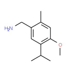 5-Isopropyl-4-methoxy-2-methyl-benzylamine | SCBT - Santa Cruz ...