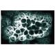 immunofluorescence image from recommended 5-LO (33) monoclonal antibody replacement. Image 133604