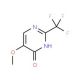 5-Methoxy-2-(trifluoromethyl)-4-pyrimidinol - chemical structure image