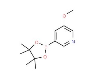 5-Methoxy-3-pyridineboronic acid pinacol ester (CAS 445264-60-8) - chemical structure image