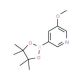 5-Methoxy-3-pyridineboronic acid pinacol ester (CAS 445264-60-8) - chemical structure image