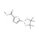 5-(Methoxycarbonyl)thiophene-2-boronic acid, pinacol ester (CAS 916138-13-1) - chemical structure image