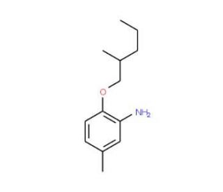 5-Methyl-2-[(2-methylpentyl)oxy]aniline - chemical structure image