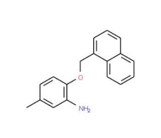5-Methyl-2-(1-naphthylmethoxy)aniline - chemical structure image