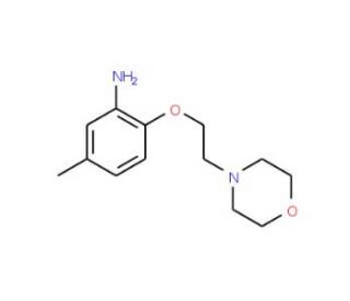 5-Methyl-2-[2-(4-morpholinyl)ethoxy]phenylamine - chemical structure image
