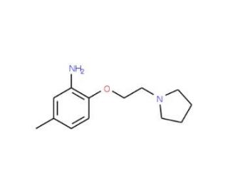 5-Methyl-2-(2-pyrrolidin-1-yl-ethoxy)-phenylamine - chemical structure image