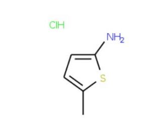 (5-Methyl-2-thienyl)amine hydrochloride - chemical structure image