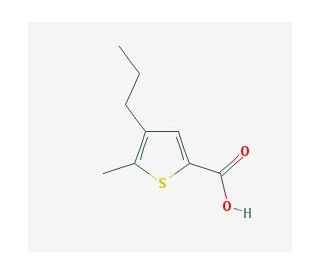5-methyl-4-propylthiophene-2-carboxylic acid (CAS 790263-47-7) - chemical structure image