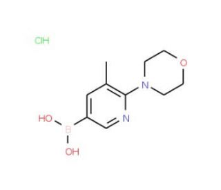 5-Methyl-6-morpholinopyridin-3-ylboronic acid hydrochloride - chemical structure image