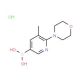 5-Methyl-6-morpholinopyridin-3-ylboronic acid hydrochloride - chemical structure image