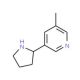 5-Methyl Nornicotine - chemical structure image