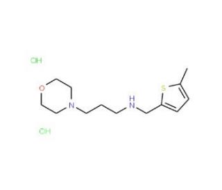 (5-Methyl-thiophen-2-ylmethyl)-(3-morpholin-4-yl-propyl)-amine dihydrochloride - chemical structure image