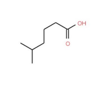 5-Methylcaproic acid (CAS 628-46-6) - chemical structure image