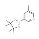 5-Methylpyridine-3-boronic acid pinacol ester (CAS 1171891-42-1) - chemical structure image