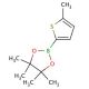 5-Methylthiophene-2-boronic acid pinacol ester (CAS 476004-80-5) - chemical structure image