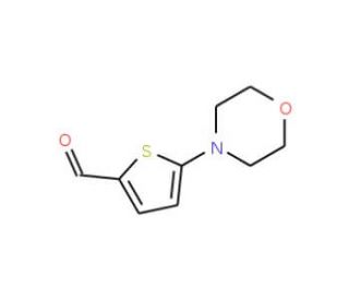 5-Morpholin-4-yl-thiophene-2-carbaldehyde (CAS 24372-49-4) - chemical structure image