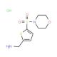 [5-(morpholin-4-ylsulfonyl)thien-2-yl]methylamine hydrochloride - chemical structure image