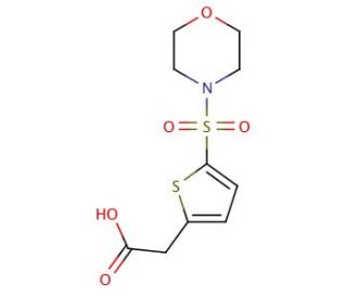 [5-(Morpholine-4-sulfonyl)-thiophen-2-yl]-acetic acid - chemical structure image