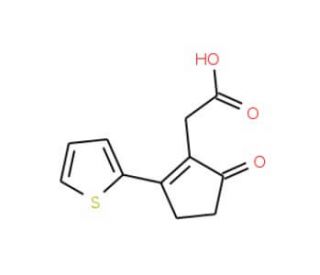 (5-Oxo-2-thiophen-2-yl-cyclopent-1-enyl)-acetic acid (CAS 436086-95-2) - chemical structure image
