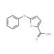 5-Phenoxy-2-furoic acid (CAS 60698-32-0) - chemical structure image
