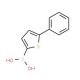 5-Phenyl-2-thienylboronic acid (CAS 306934-95-2) - chemical structure image