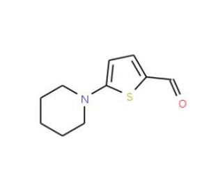 5-Piperidin-1-yl-2-formylthiophene (CAS 24372-48-3) - chemical structure image
