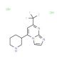 5-Piperidin-3-yl-7-trifluoromethyl-imidazo[1,2-a]-pyrimidine dihydrochloride (CAS 1185299-45-9) - chemical structure image