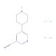 5-(Piperidin-4-yl)nicotinonitrile dihydrochloride (CAS 1137949-73-5) - chemical structure image