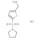 [5-(pyrrolidin-1-ylsulfonyl)thien-2-yl]methylamine hydrochloride - chemical structure image