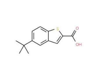 5-tert-butyl-1-benzothiophene-2-carboxylic acid - chemical structure image