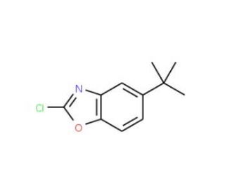 5-tert-Butyl-2-chloro-1,3-benzoxazole - chemical structure image