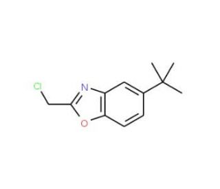 5-(Tert-butyl)-2-(chloromethyl)-1,3-benzoxazole - chemical structure image