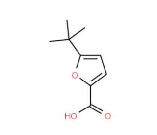 5-tert-butyl-2-furoic acid (CAS 56311-39-8) - chemical structure image