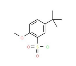 5-tert-Butyl-2-methoxy-benzenesulfonyl chloride (CAS 88041-83-2) - chemical structure image