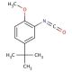 5-tert-Butyl-2-methoxyphenyl isocyanate (CAS 284462-77-7) - chemical structure image
