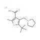 5-tert-Butyl-2-methyl-4-pyrrolidin-1-ylmethyl-furan-3-carboxylic acid hydrochloride - chemical structure image
