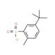 5-tert-Butyl-2-methyl-benzenesulfonyl chloride (CAS 63452-62-0) - chemical structure image