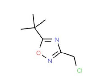 5-tert-Butyl-3-(chloromethyl)-1,2,4-oxadiazole (CAS 175205-41-1) - chemical structure image