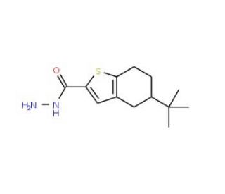 5-tert-butyl-4,5,6,7-tetrahydro-1-benzothiophene-2-carbohydrazide - chemical structure image